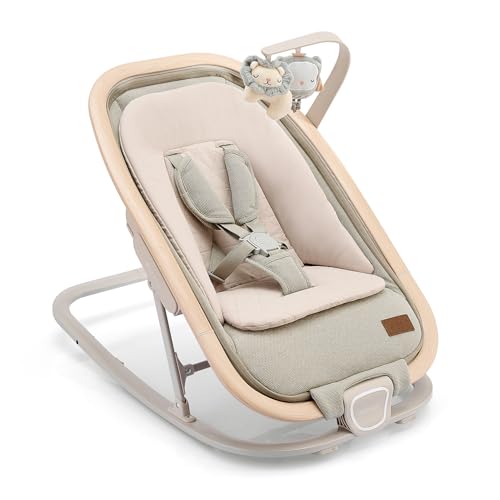 2-in-1 Baby Bouncer Seat Portable Rocker with 3 Positions