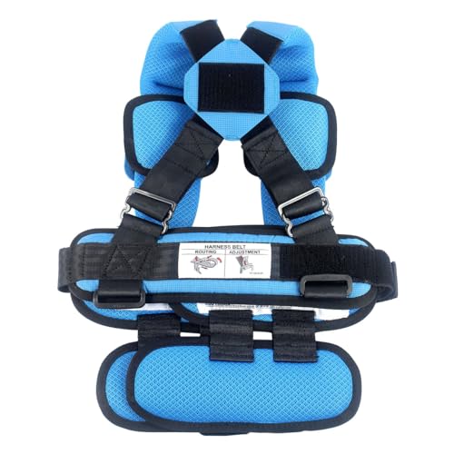 RideSafer Portable Car Seat Small Black Lightweight For Travel And Everyday Child Safety