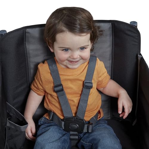 Red Radio Flyer wagon for kids with wheels, convertible stroller and rolling cart, suitable for toddlers ages 1 and up.