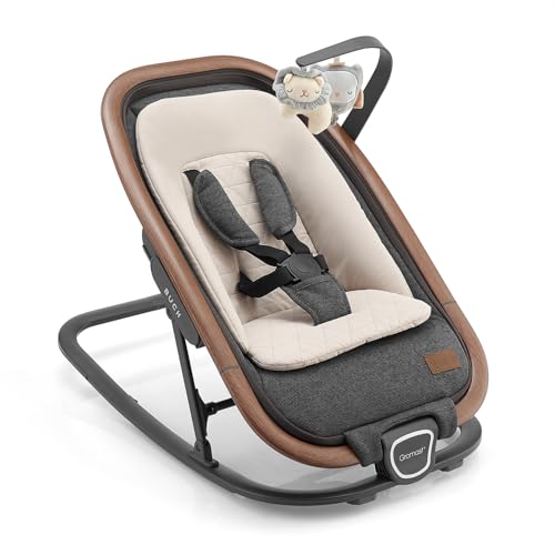 2-in-1 Baby Bouncer Seat Portable Rocker with 3 Positions