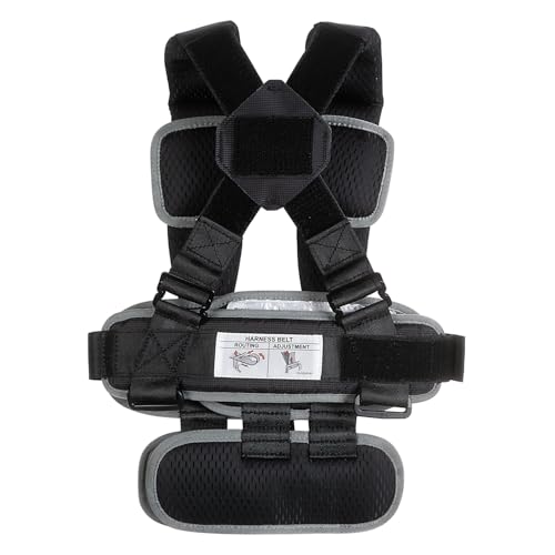 RideSafer Portable Car Seat Small Black Lightweight For Travel And Everyday Child Safety