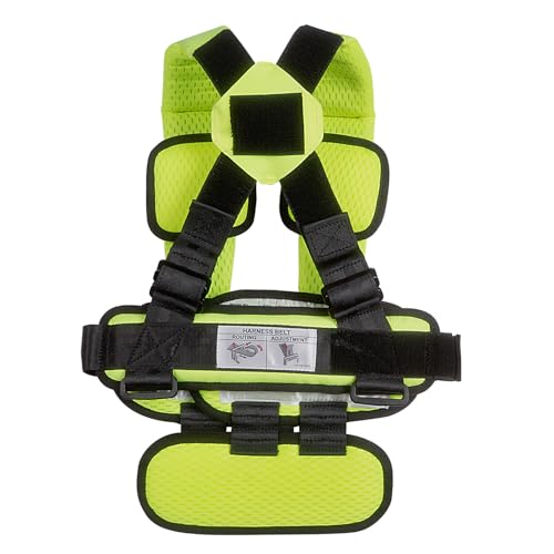RideSafer Portable Car Seat Small Black Lightweight For Travel And Everyday Child Safety