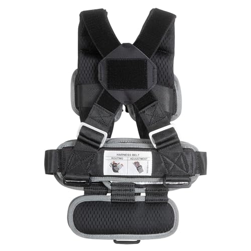 RideSafer Portable Car Seat Small Black Lightweight For Travel And Everyday Child Safety