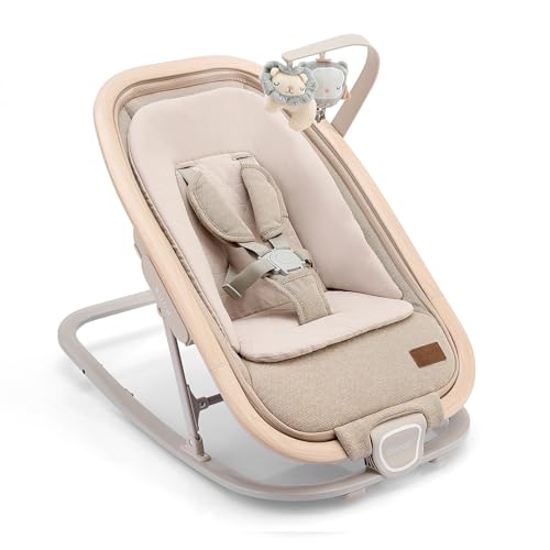 2-in-1 Baby Bouncer Seat Portable Rocker with 3 Positions