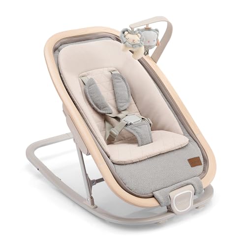 2-in-1 Baby Bouncer Seat Portable Rocker with 3 Positions