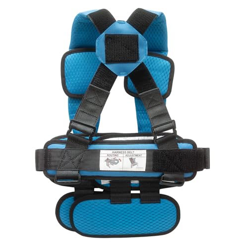 RideSafer Portable Car Seat Small Black Lightweight For Travel And Everyday Child Safety