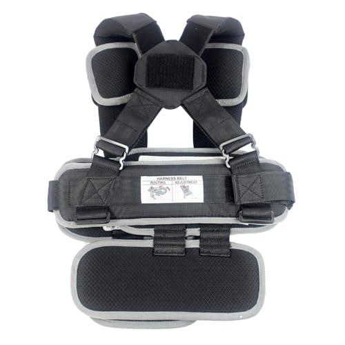 RideSafer Portable Car Seat Small Black Lightweight For Travel And Everyday Child Safety