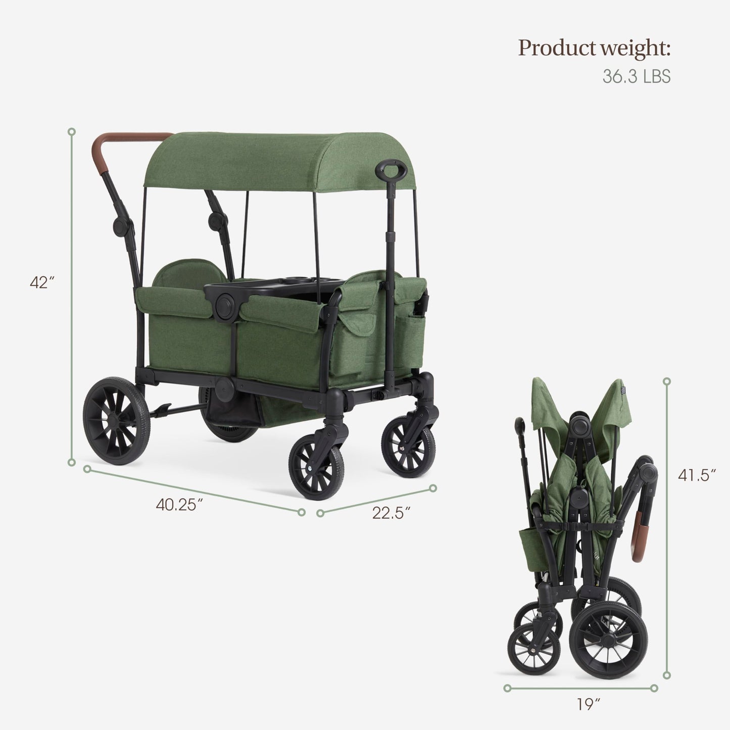 Evolur Trailblazer double stroller in black with all-terrain wheels, 5-point harness, removable canopy, and spacious storage for two kids