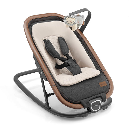 2-in-1 Baby Bouncer Seat Portable Rocker with 3 Positions