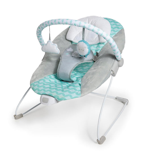 Baby Bouncer Infant Seat with Soothing Vibrations