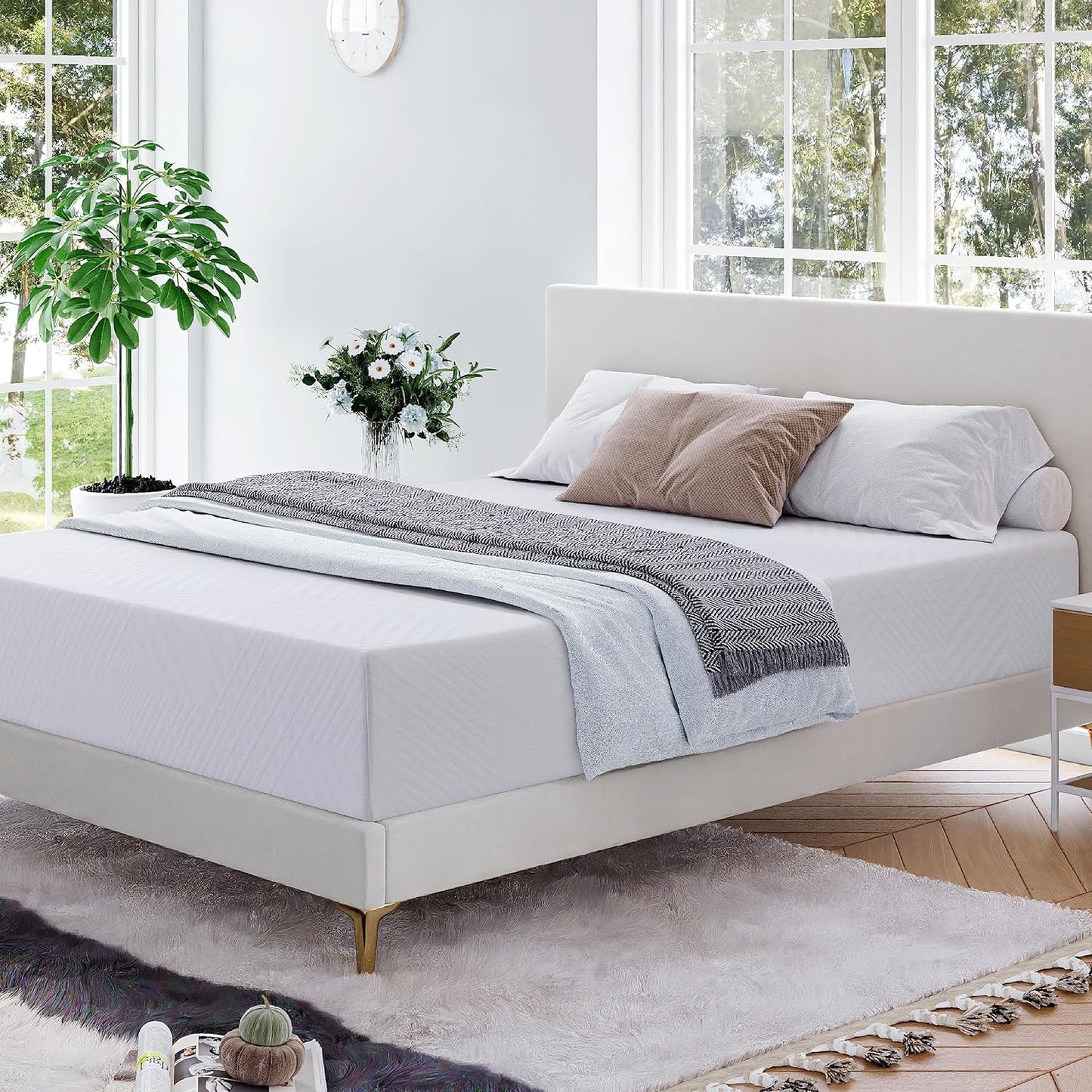 Queen Mattress - 8 Inch Kudospop